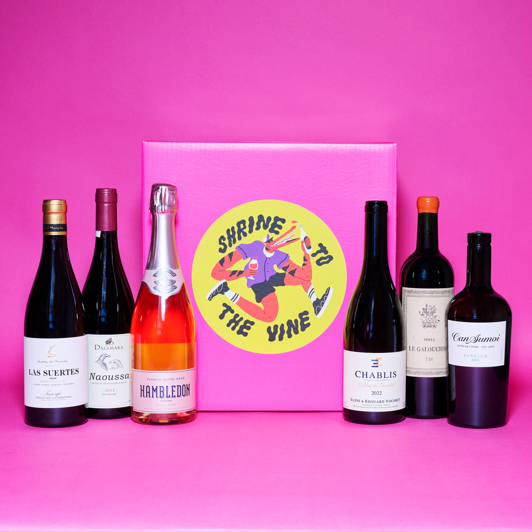 Wine From Another Galaxy Case
