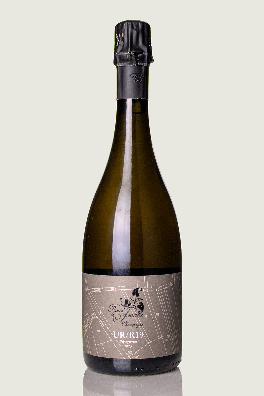 Cédric Bouchard Roses de Jeanne 'Les Ursules' R19