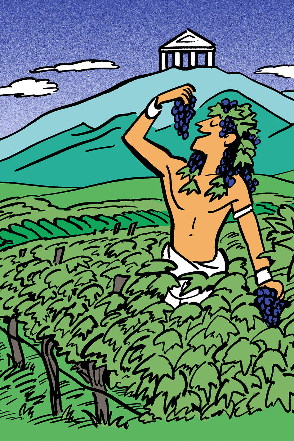 Everything You Need To Know About Greek Wine