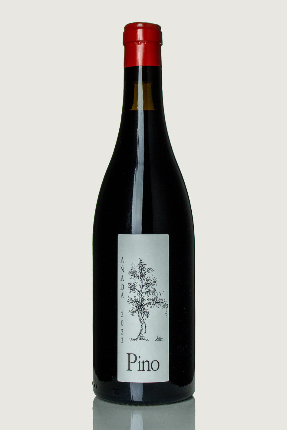 Juan Antonio Ponce 'Pino' 2023