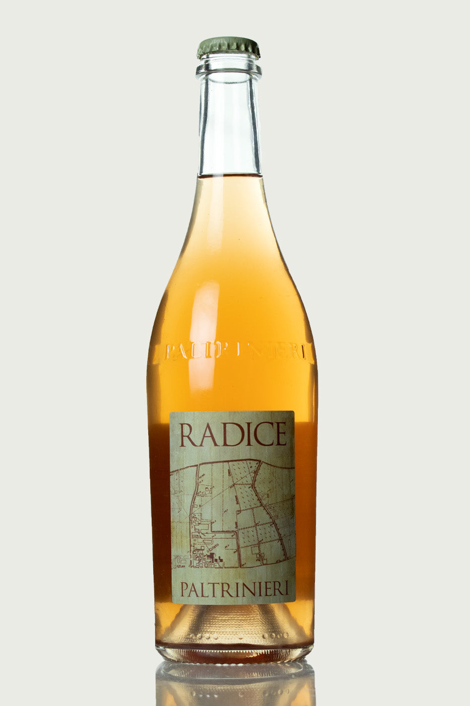Paltrinieri Radice Lambrusco di Sorbara 2021