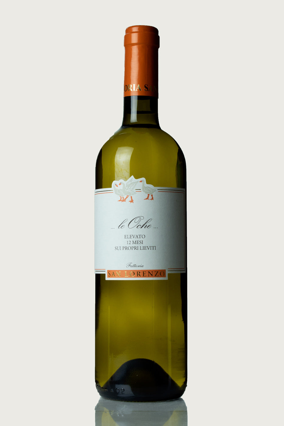 San Lorenzo Verdicchio 'Le Oche' 2023