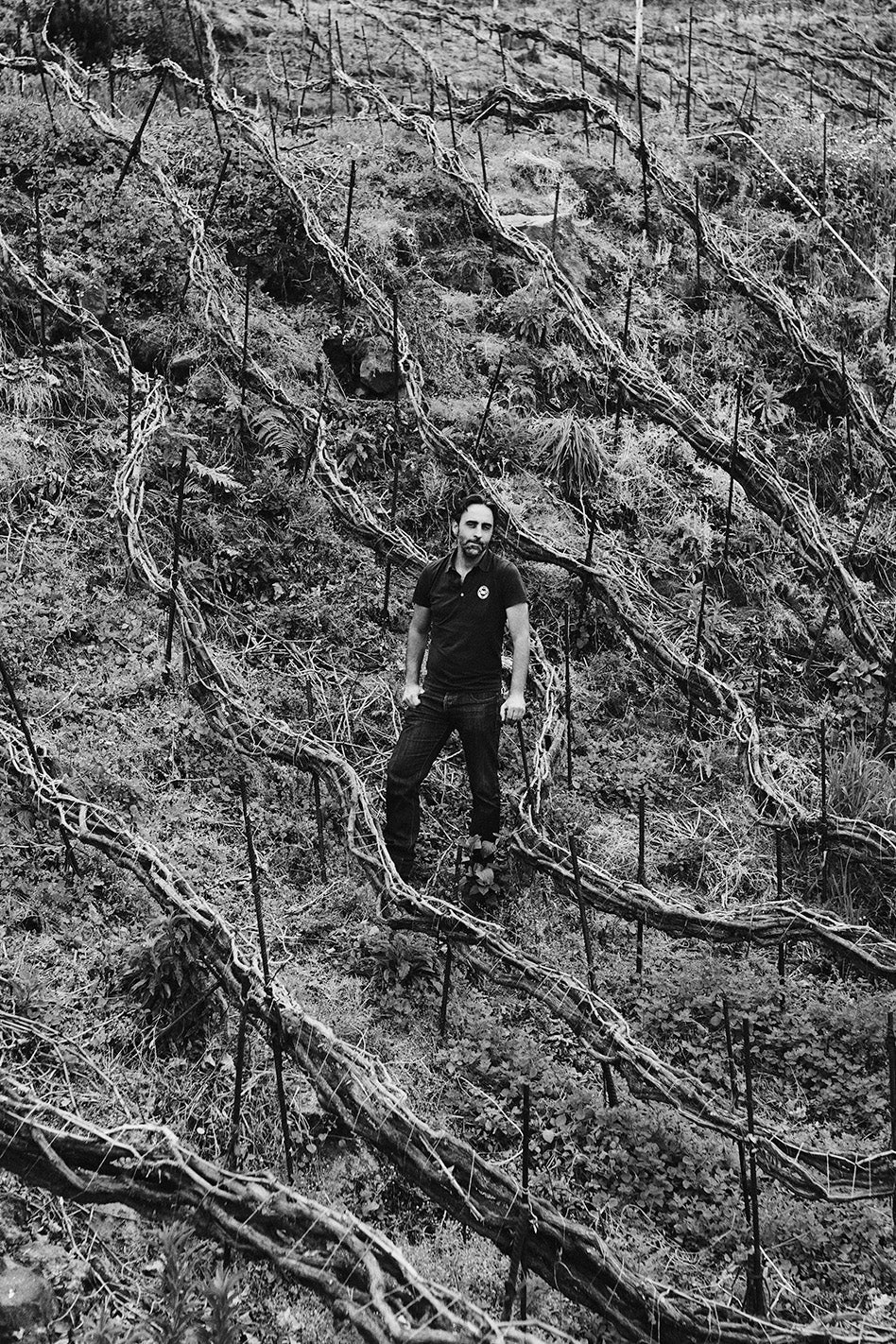 New School Icons – Meet the Man Reinventing Tenerife Wine