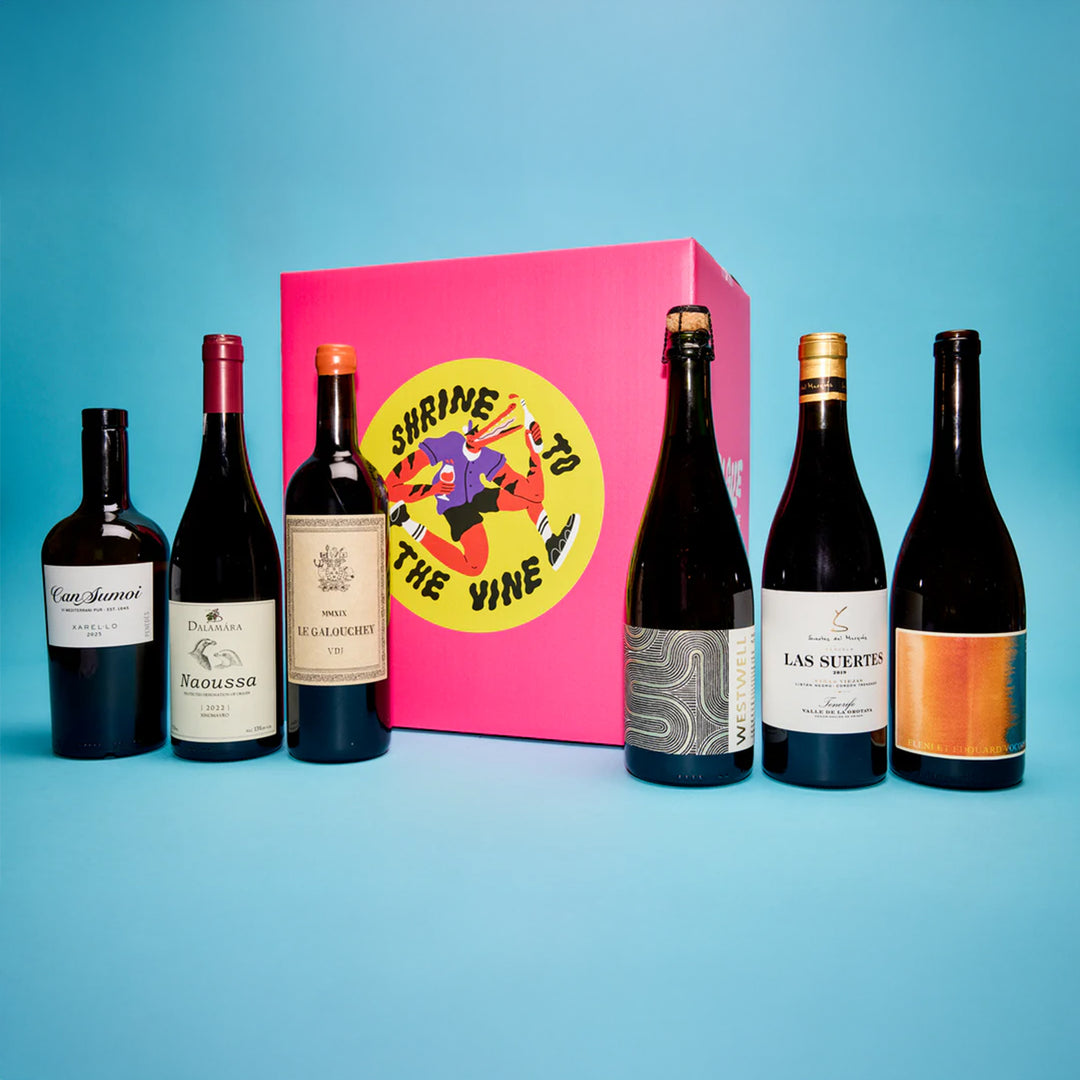 Wine from Another Galaxy Case