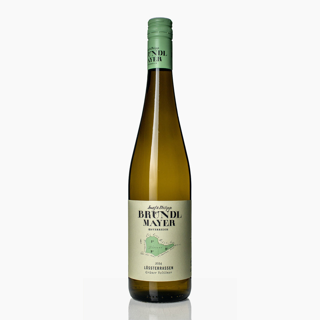 Philipp Brundlmayer Gruner Veltliner Lössterrassen 2024