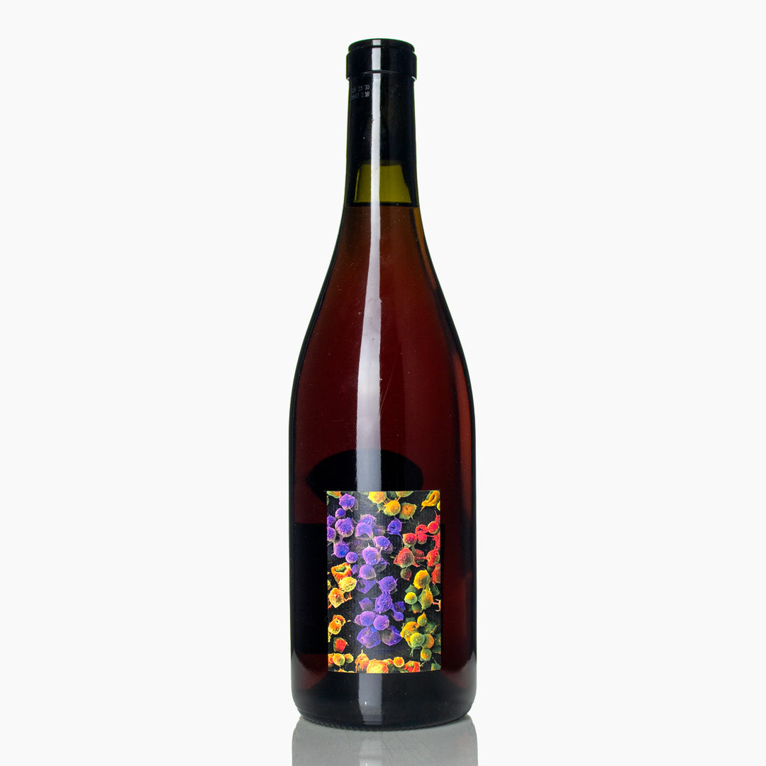 Boulanger &amp; Allante Les Pierres Dorées Gamay 2024