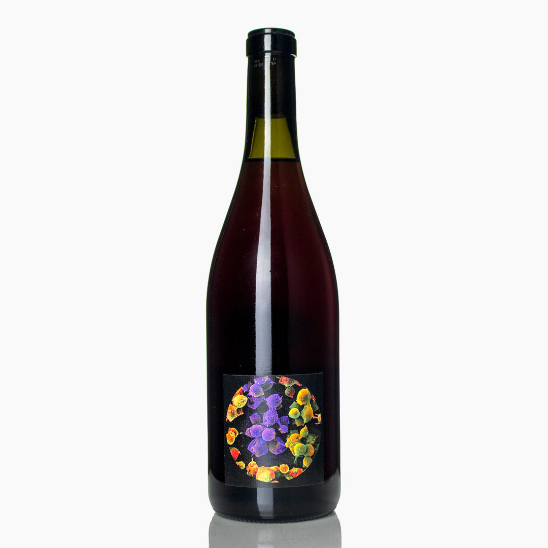 Boulanger &amp; Allante VdF Pineau d&