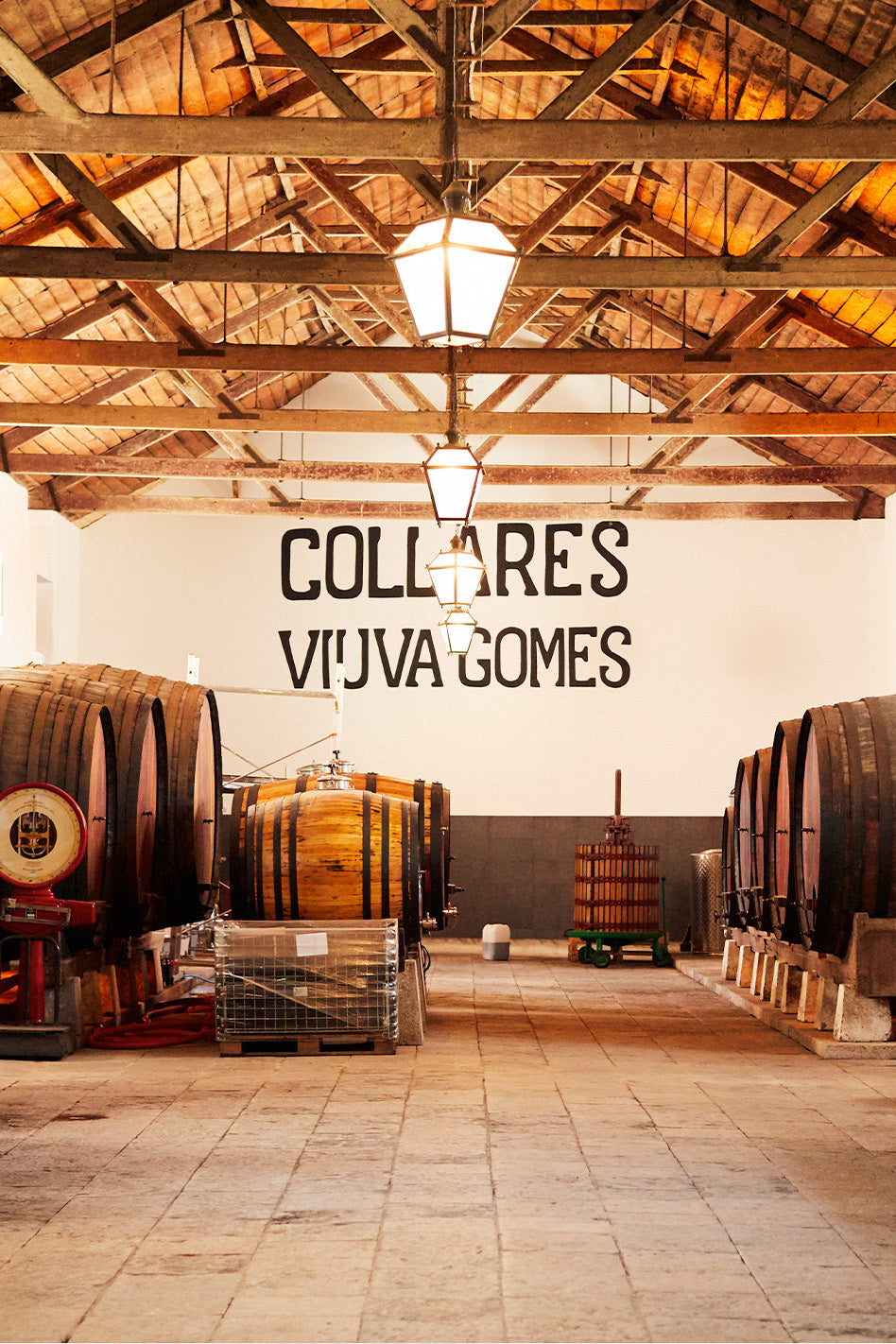 Colares & Viúva Gomes: The star of Portugal’s lost wine region (Monday 15 April 2024)