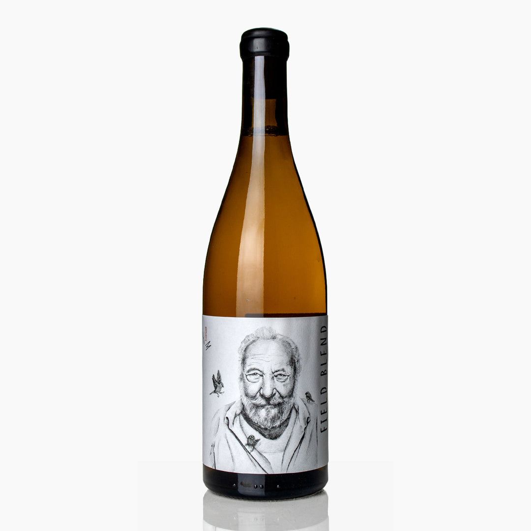 Iliana Malíhin 'Field Blend' 2023