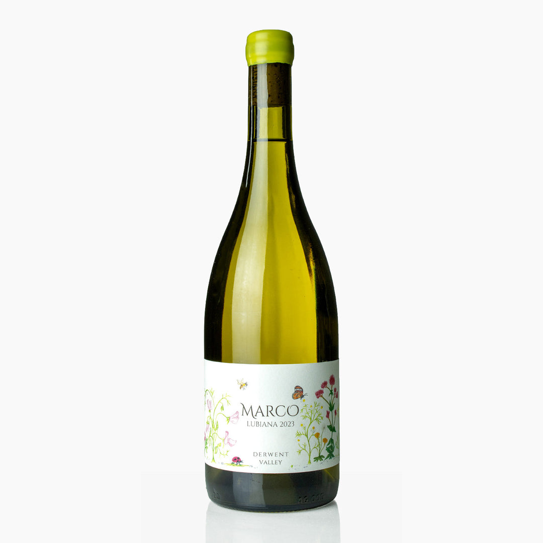 Marco Lubiana Chardonnay 2023