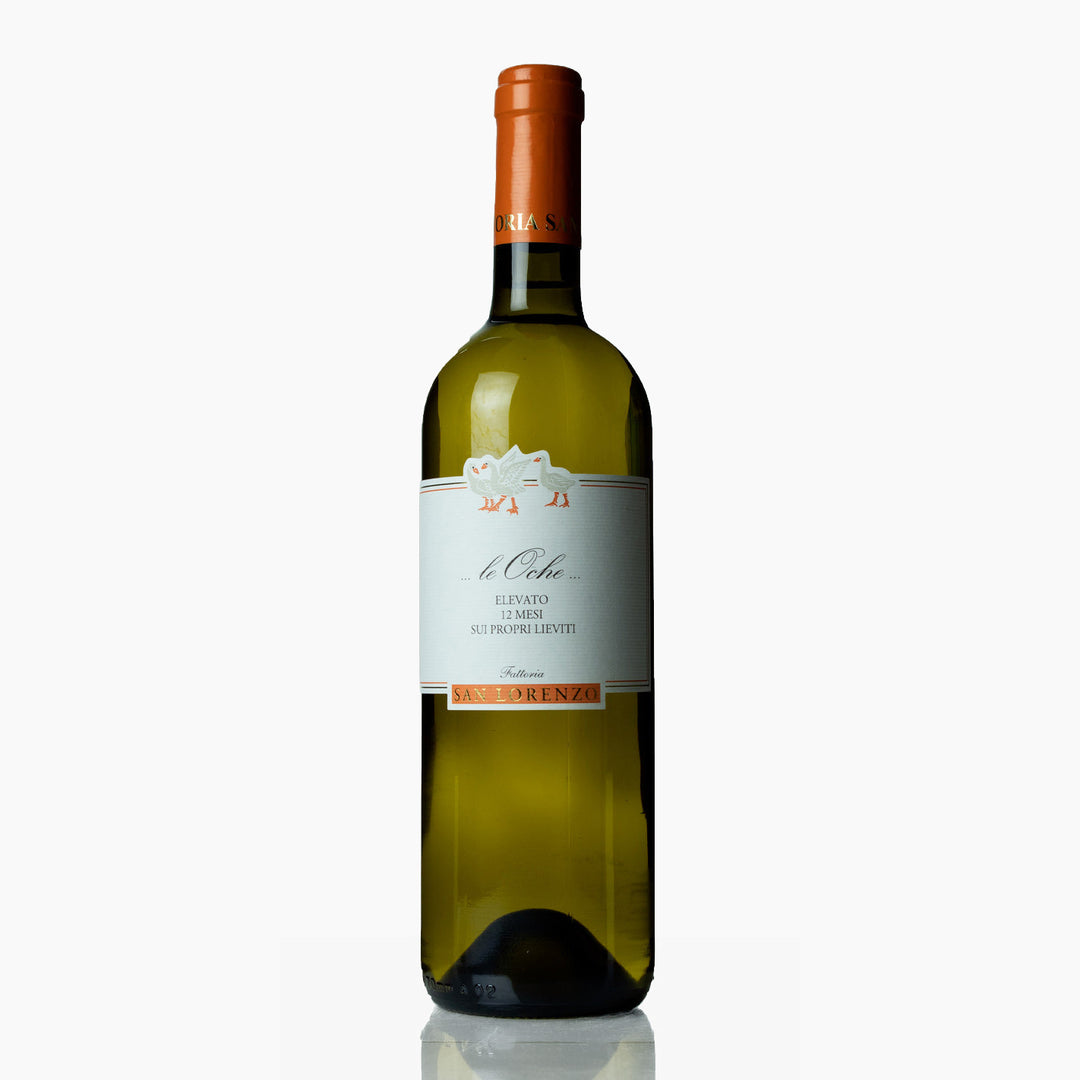 San Lorenzo Verdicchio 'Le Oche' 2023