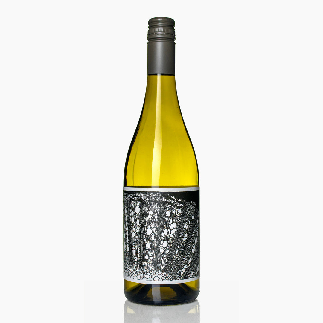 Westwell Ortega 2023